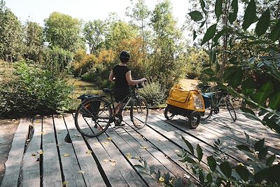 Pont en bois au-dessus d'un écluseau au cœur de la Venise Verte, entre Damvix et Saint-Hilaire-la-Palud - Charente-Maritime - France