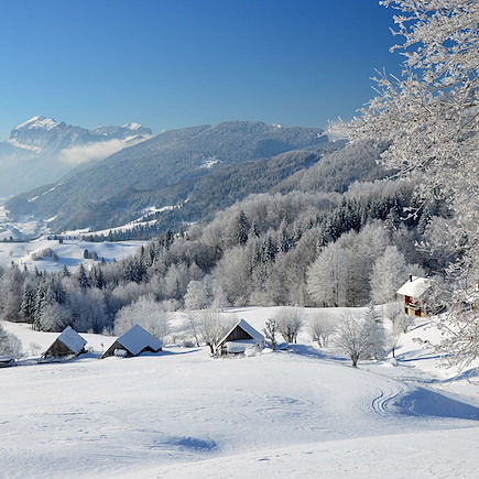 Raquette France Alpes du Nord