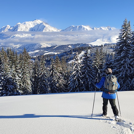 Raquette France Alpes du Nord