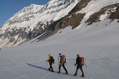 Bauges - Savoie - Alpes - France