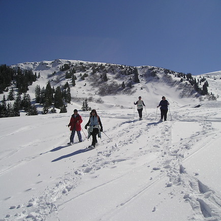 Raquette France Alpes du Nord