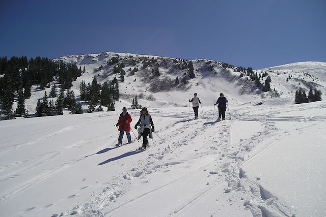 Raquette France Alpes du Nord