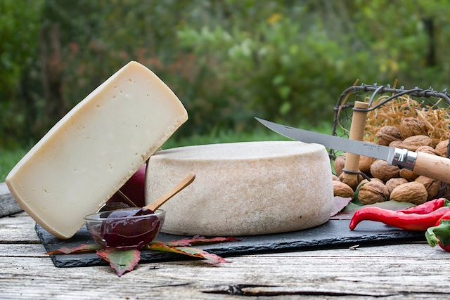 Raquette France Pays Basque et Sud-Ouest