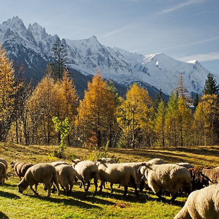 Randonnée France Alpes du Nord