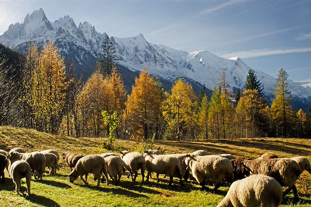 Randonnée France Alpes du Nord