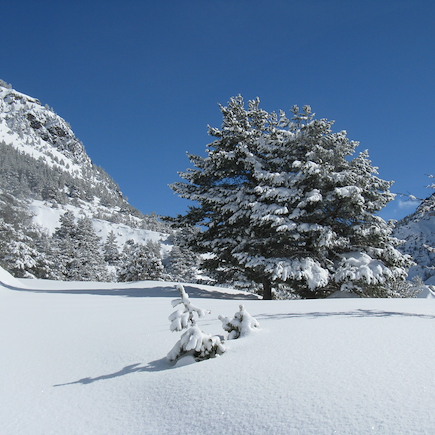 Ski de fond et ski nordique France Alpes du Sud