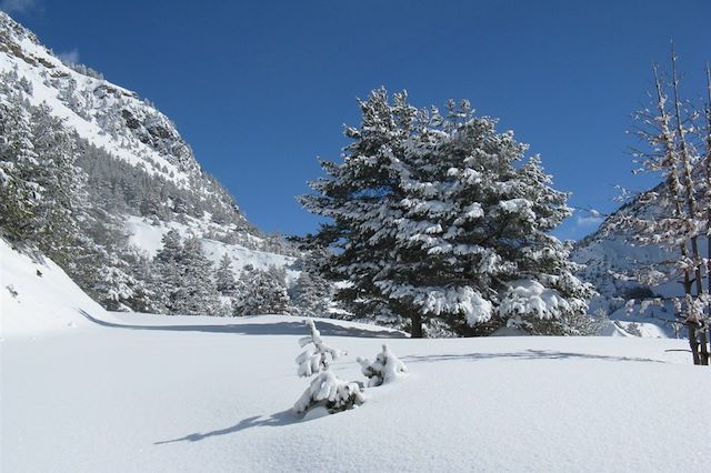 Ski de fond et ski nordique France Alpes du Sud