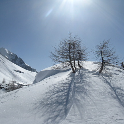 Raquette France Alpes du Sud