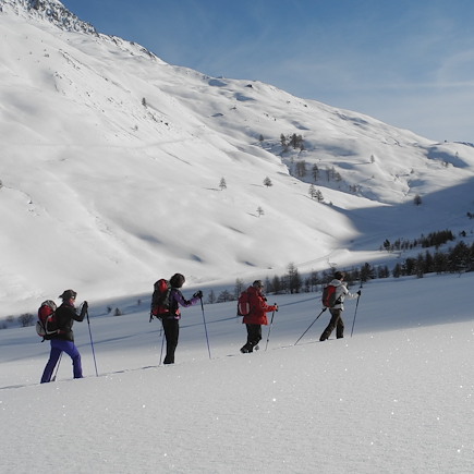 Ski de fond et ski nordique France Alpes du Sud