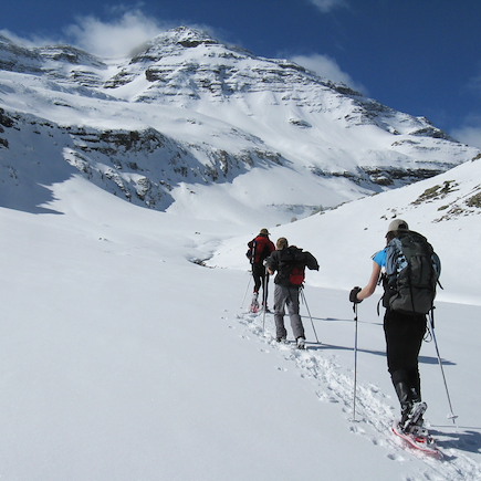Raquette France Alpes du Sud
