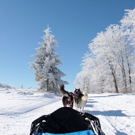 Aventures hivernales sur le plateau de l'Aubrac