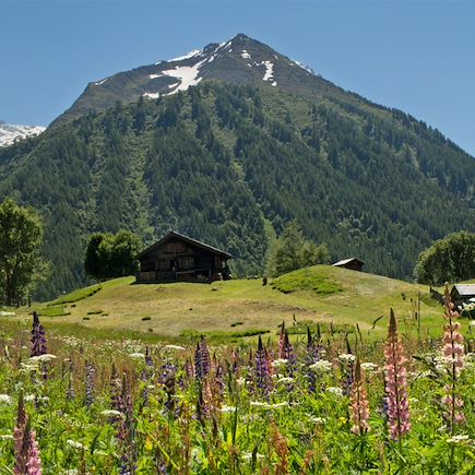 Trek France Alpes du Nord