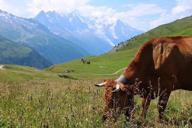 Trek France Alpes du Nord