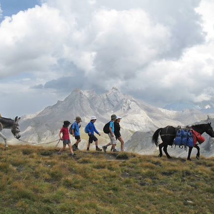 Randonnée avec âne France Alpes du Sud