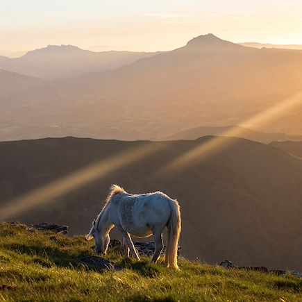 Randonnée France Pays Basque et Sud-Ouest