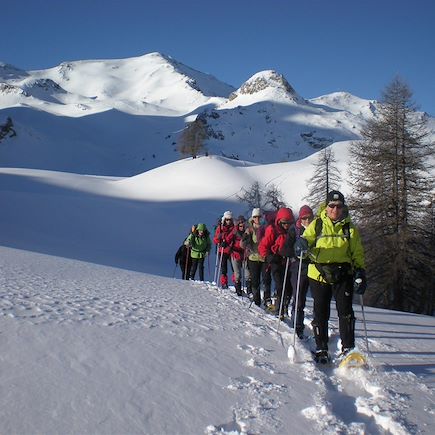 Raquette France Alpes du Sud