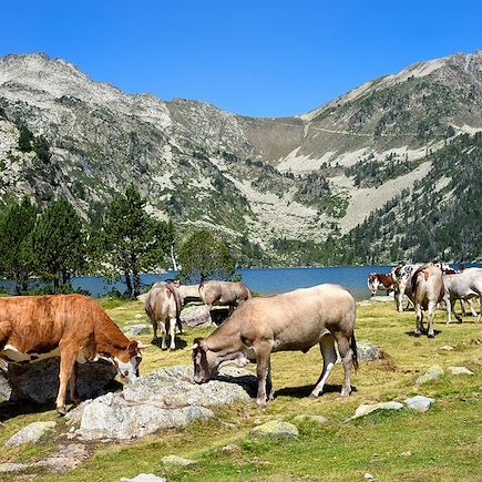 Randonnée France Pays Basque et Sud-Ouest