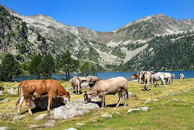 Randonnée France Pays Basque et Sud-Ouest