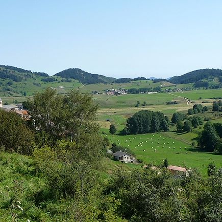 Randonnée avec âne France Pyrénées