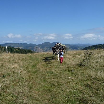 Randonnée avec âne France Pyrénées
