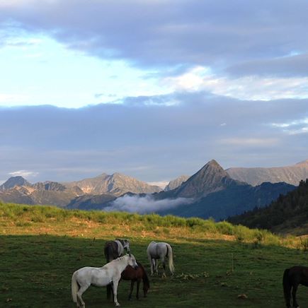 Randonnée avec âne France Pyrénées