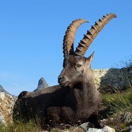 Randonnée France Alpes du Sud