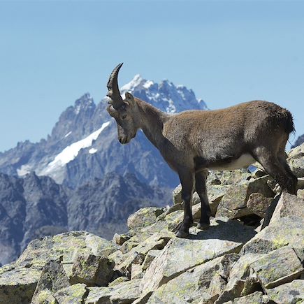 Trek France Alpes du Sud