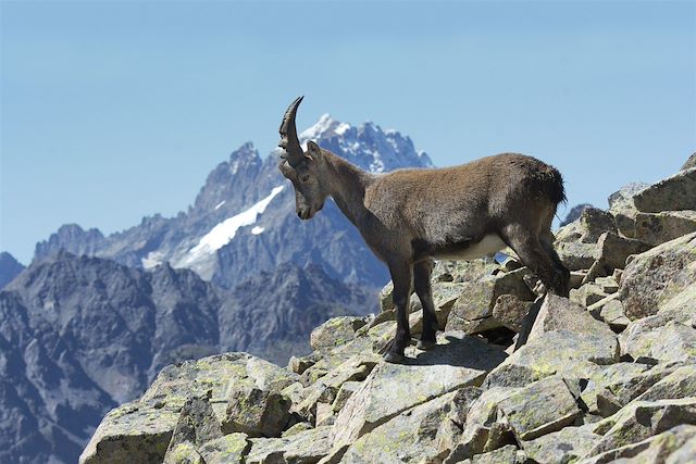 Trek France Alpes du Sud