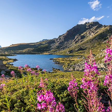 Trek France Alpes du Sud