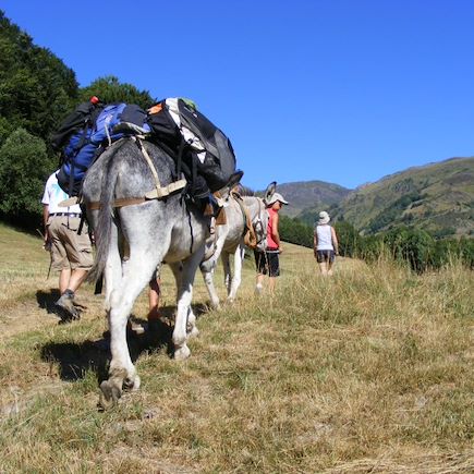 Randonnée avec âne France Pyrénées