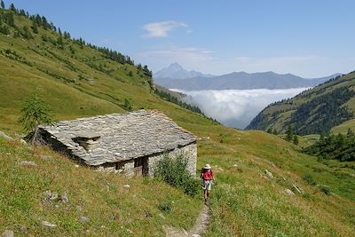 Randonnée dans alpage verdoyant - Val Maira - Piémont - Italie