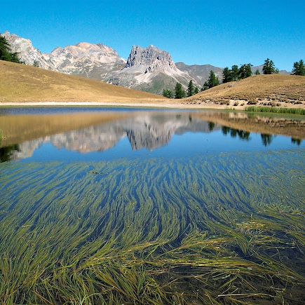 Randonnée France Alpes du Sud