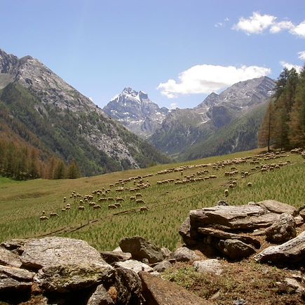 Randonnée France Alpes du Sud