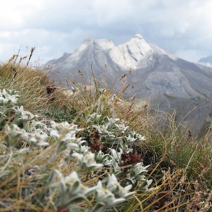 Randonnée France Alpes du Sud