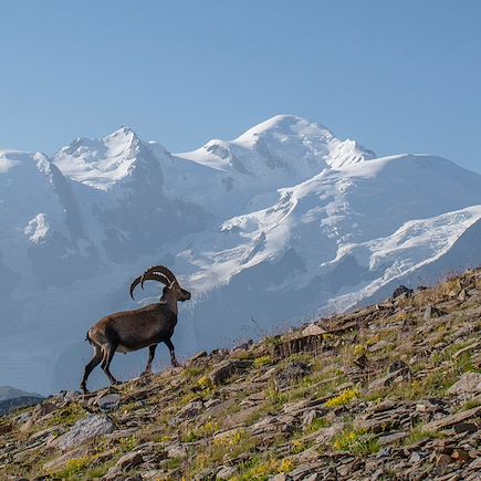 Trek France Alpes du Nord