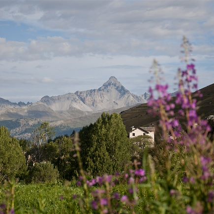 Randonnée France Alpes du Sud