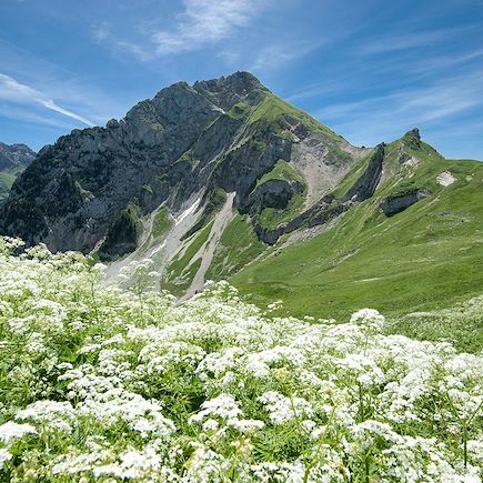 VTT / Gravel France Alpes du Nord
