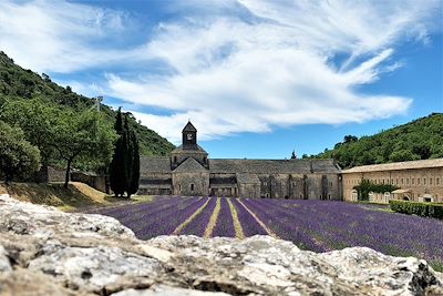 Champ de Lavande devant l'Abbaye de Sénanque - France