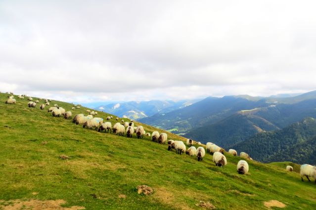 Image Terroirs du Pays basque