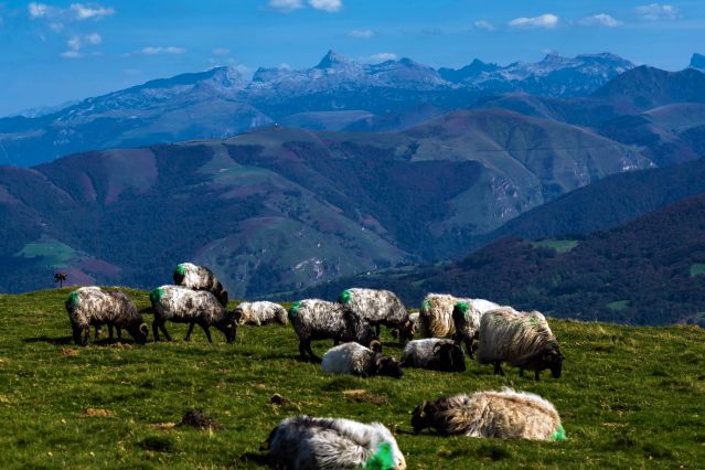 Image Randonnées douces et thalasso au Pays Basque