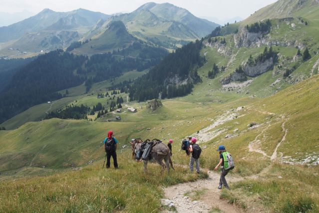 Image Balade avec un âne entre Léman et Mont-Blanc