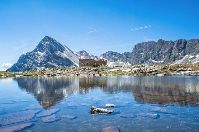 Trek - Immersion nature dans les Alpes du Soleil