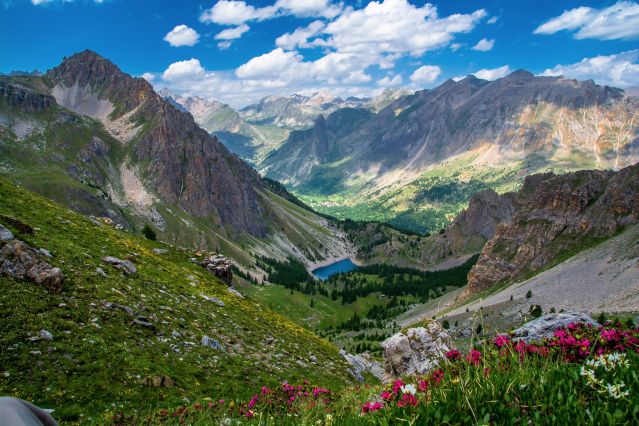 Image Immersion nature dans les Alpes du Soleil