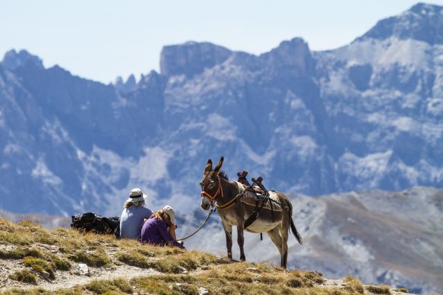 Randonnée avec âne Alpes du Sud