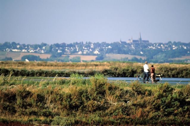 Balade à vélo dans les marais salants de la Presqu île de Guérande - France
