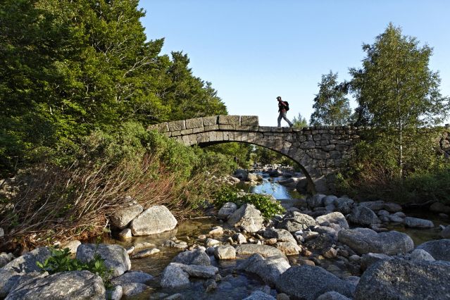 Pont sur le Tarn - Mont Lozère - Mas-Camargues - Parc National des Cévennes - Lozère - France