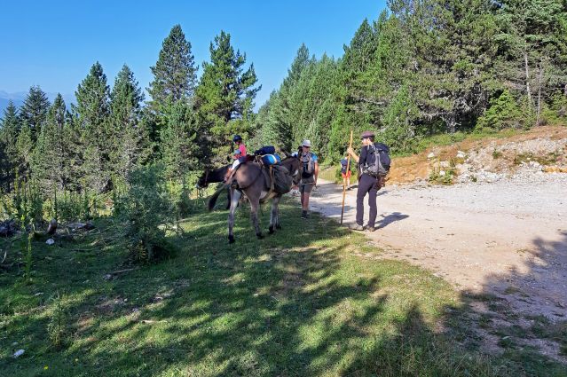 Randonnée avec des ânes en Ariège - France