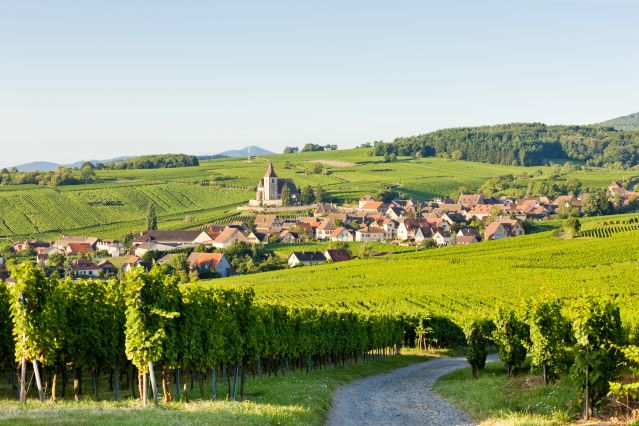 Vue sur le village d Hunawihr - Haut-Rhin - Alsace - France