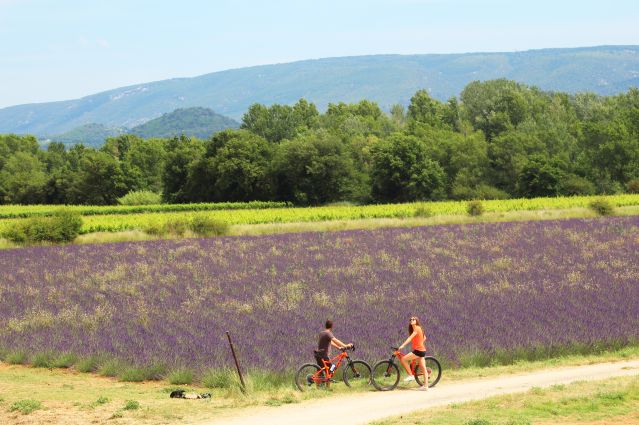 Voyage Escapade à vélo au cœur des villages du Luberon