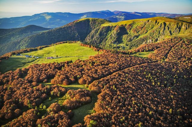 Hautes Vosges près du Hohneck - Haut-Rhin - Alsace - France